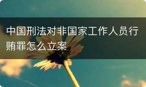 中国刑法对非国家工作人员行贿罪怎么立案