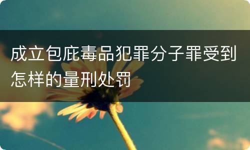 成立包庇毒品犯罪分子罪受到怎样的量刑处罚