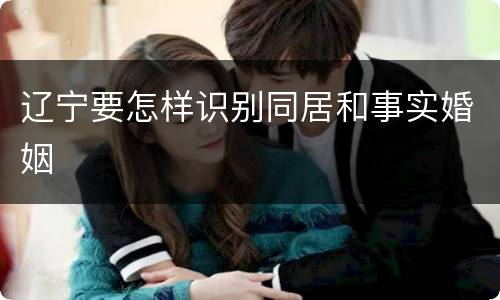 辽宁要怎样识别同居和事实婚姻