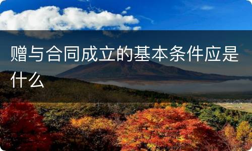 赠与合同成立的基本条件应是什么