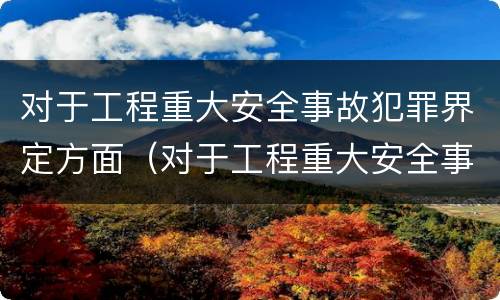 对于工程重大安全事故犯罪界定方面（对于工程重大安全事故犯罪界定方面的认识）