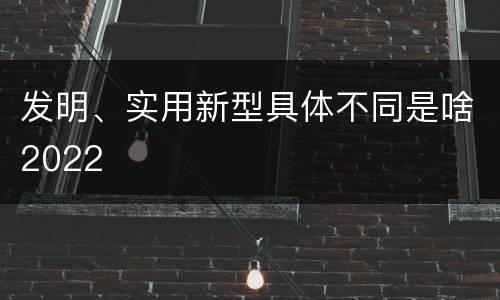 发明、实用新型具体不同是啥2022