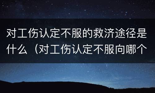 对工伤认定不服的救济途径是什么（对工伤认定不服向哪个法院起诉）