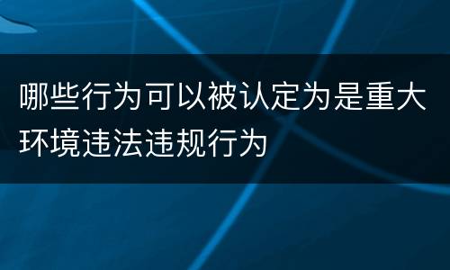 哪些行为可以被认定为是重大环境违法违规行为