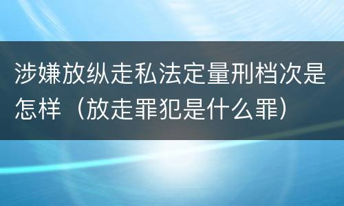 涉嫌放纵走私法定量刑档次是怎样（放走罪犯是什么罪）