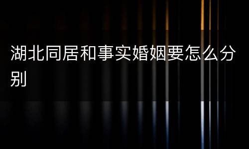 湖北同居和事实婚姻要怎么分别
