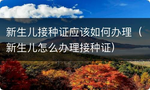 新生儿接种证应该如何办理（新生儿怎么办理接种证）