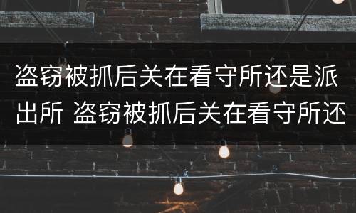 盗窃被抓后关在看守所还是派出所 盗窃被抓后关在看守所还是派出所管