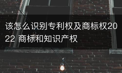 该怎么识别专利权及商标权2022 商标和知识产权