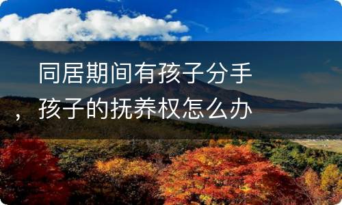 　同居期间有孩子分手，孩子的抚养权怎么办