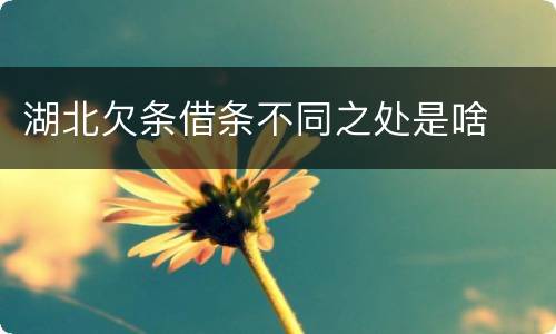 湖北欠条借条不同之处是啥