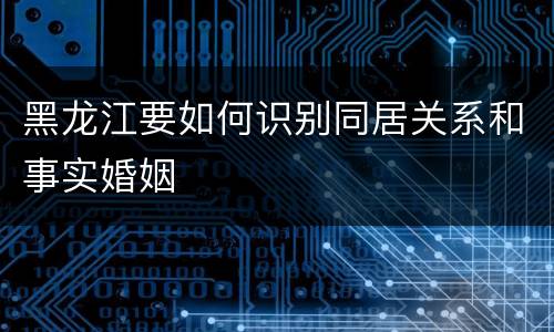 黑龙江要如何识别同居关系和事实婚姻