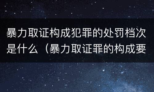 暴力取证构成犯罪的处罚档次是什么（暴力取证罪的构成要件）