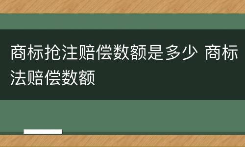 商标抢注赔偿数额是多少 商标法赔偿数额