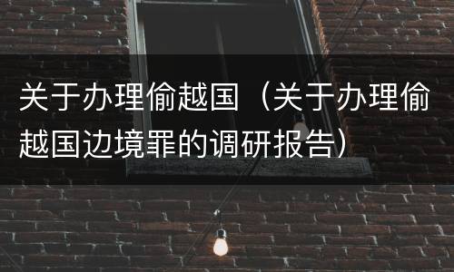 关于办理偷越国（关于办理偷越国边境罪的调研报告）