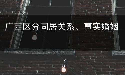 广西区分同居关系、事实婚姻