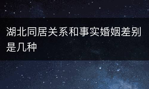湖北同居关系和事实婚姻差别是几种