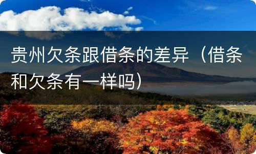 贵州欠条跟借条的差异（借条和欠条有一样吗）