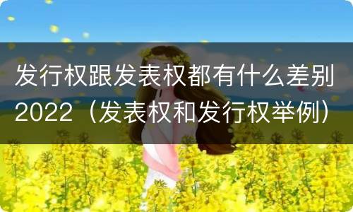 发行权跟发表权都有什么差别2022（发表权和发行权举例）