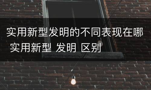 实用新型发明的不同表现在哪 实用新型 发明 区别