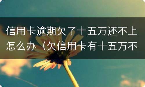 信用卡逾期欠了十五万还不上怎么办（欠信用卡有十五万不还结果会怎么样）