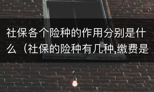 社保各个险种的作用分别是什么（社保的险种有几种,缴费是一样的吗）