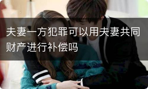 夫妻一方犯罪可以用夫妻共同财产进行补偿吗
