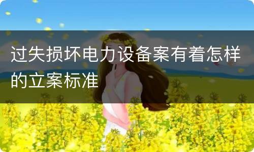 过失损坏电力设备案有着怎样的立案标准
