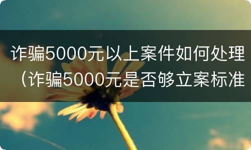 诈骗5000元以上案件如何处理（诈骗5000元是否够立案标准）