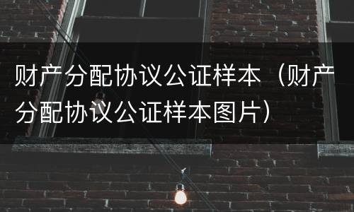 财产分配协议公证样本（财产分配协议公证样本图片）