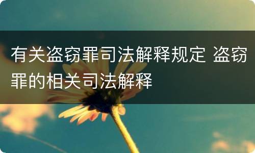 有关盗窃罪司法解释规定 盗窃罪的相关司法解释