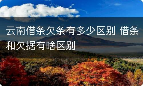 云南借条欠条有多少区别 借条和欠据有啥区别