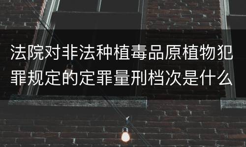 法院对非法种植毒品原植物犯罪规定的定罪量刑档次是什么样的
