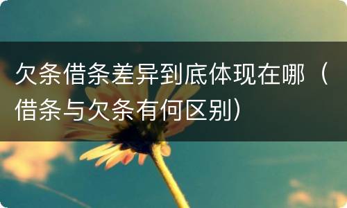 欠条借条差异到底体现在哪（借条与欠条有何区别）