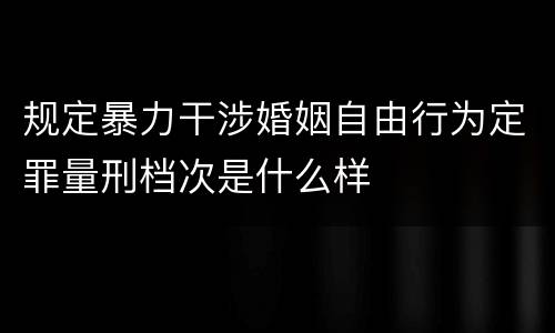 规定暴力干涉婚姻自由行为定罪量刑档次是什么样