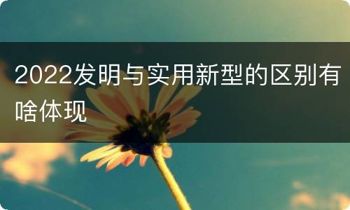 2022发明与实用新型的区别有啥体现