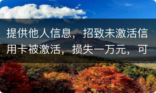 提供他人信息，招致未激活信用卡被激活，损失一万元，可否构成违法提供公民信息罪。