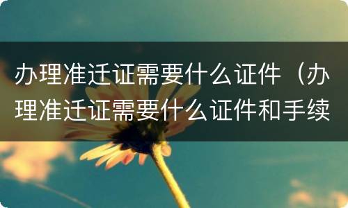 办理准迁证需要什么证件（办理准迁证需要什么证件和手续）