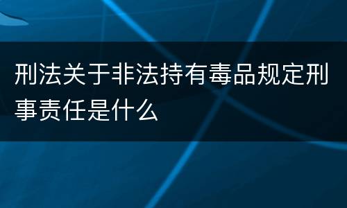 刑法关于非法持有毒品规定刑事责任是什么