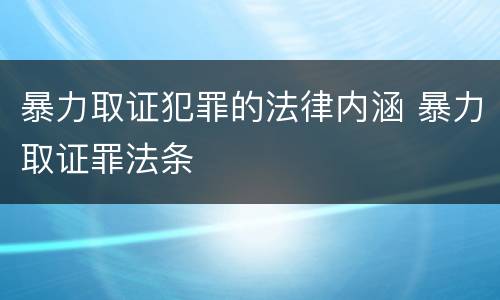 暴力取证犯罪的法律内涵 暴力取证罪法条