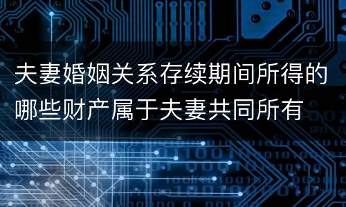 夫妻婚姻关系存续期间所得的哪些财产属于夫妻共同所有