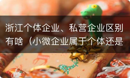 浙江个体企业、私营企业区别有啥（小微企业属于个体还是私营）
