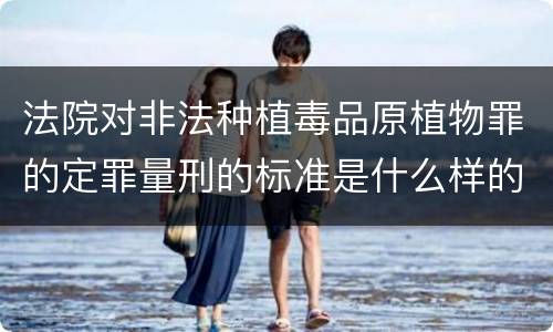 法院对非法种植毒品原植物罪的定罪量刑的标准是什么样的