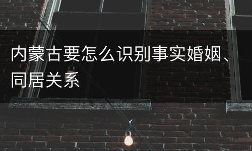 内蒙古要怎么识别事实婚姻、同居关系