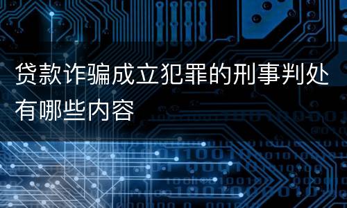 贷款诈骗成立犯罪的刑事判处有哪些内容