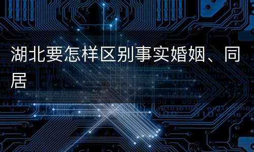 湖北要怎样区别事实婚姻、同居