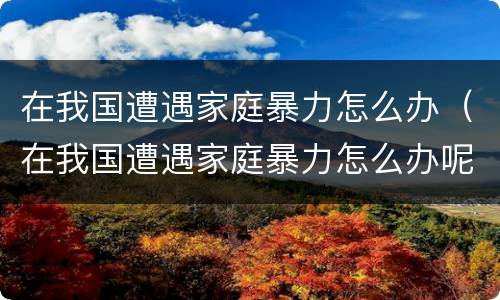 在我国遭遇家庭暴力怎么办（在我国遭遇家庭暴力怎么办呢）