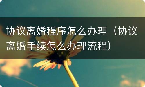 协议离婚程序怎么办理（协议离婚手续怎么办理流程）