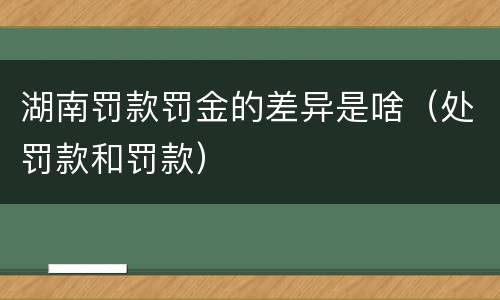 湖南罚款罚金的差异是啥（处罚款和罚款）