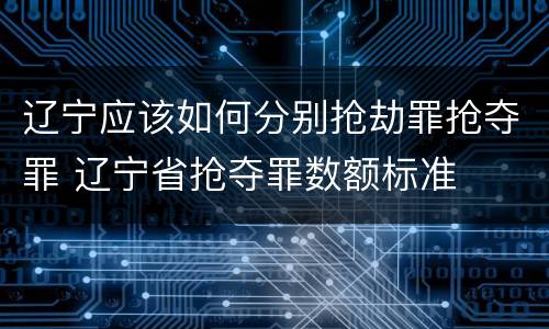 辽宁应该如何分别抢劫罪抢夺罪 辽宁省抢夺罪数额标准